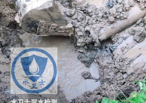 宽甸水管漏水检测公司5